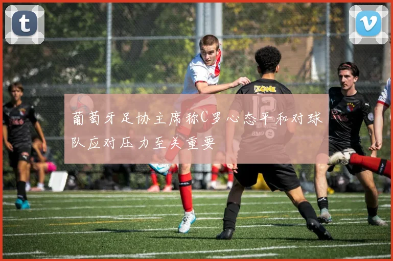 葡萄牙足协主席称C罗心态平和对球队应对压力至关重要